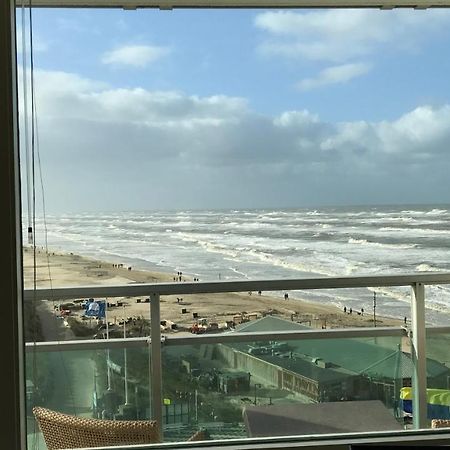 Dreamview Apartment Zandvoort Buitenkant foto